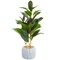 Small Artificial Ficus Plant Potted in Small Gray Cement Planter for Home Decor (11.8 In)